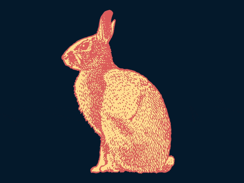 HackTheBox- Rabbit Writeup