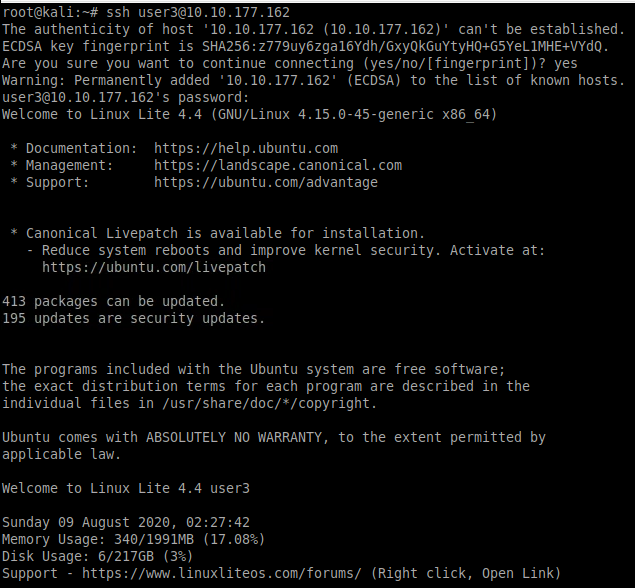 Tryhackme walkthrough a common linux privilege escalation