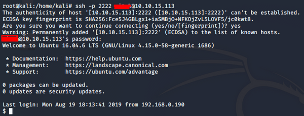 TryHackMe WriteUp - Simple CTF